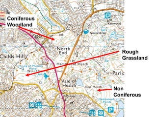 Rough Grassland Coniferous Woodland Non Coniferous 