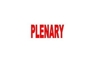 PLENARY 