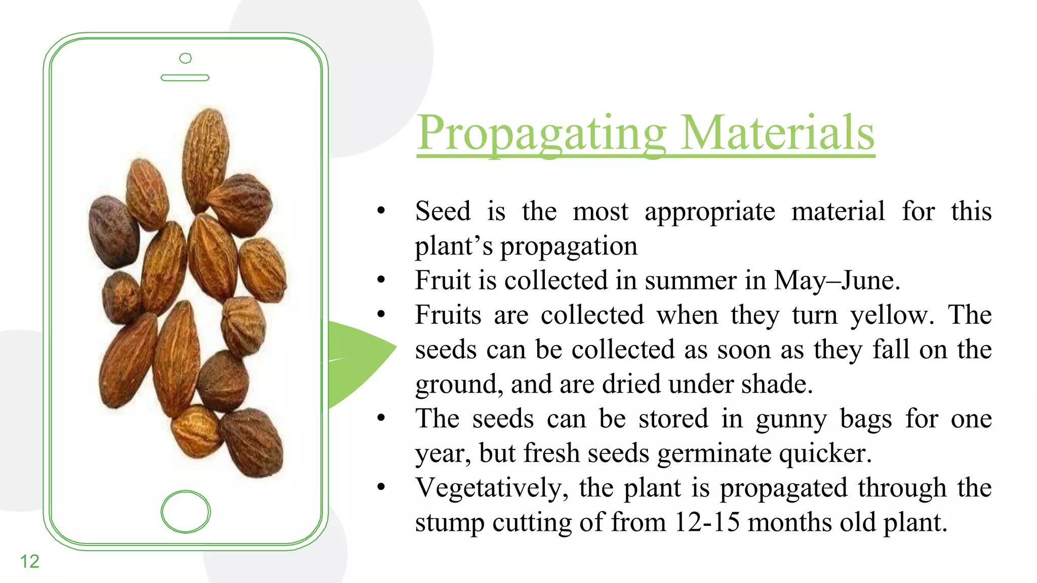 Terminalia chebula (Harro) | PPTX