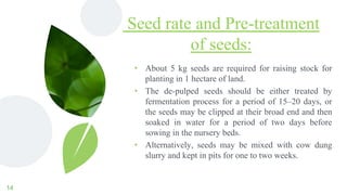 Terminalia chebula (Harro) | PPTX