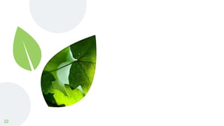 Terminalia chebula (Harro) | PPTX