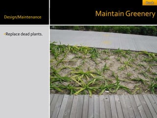 Design/Maintenance
                        Maintain Greenery

Replace dead plants.
 