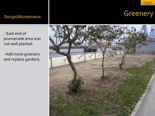 Design/Maintenance
                       Greenery

 East end of
promenade area was
not well planted.

Add more greenery
and replace gardens.
 