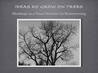 IDEAS DO GROW ON TREES
Mindmaps as a Visual Structure for Brainstorming
 