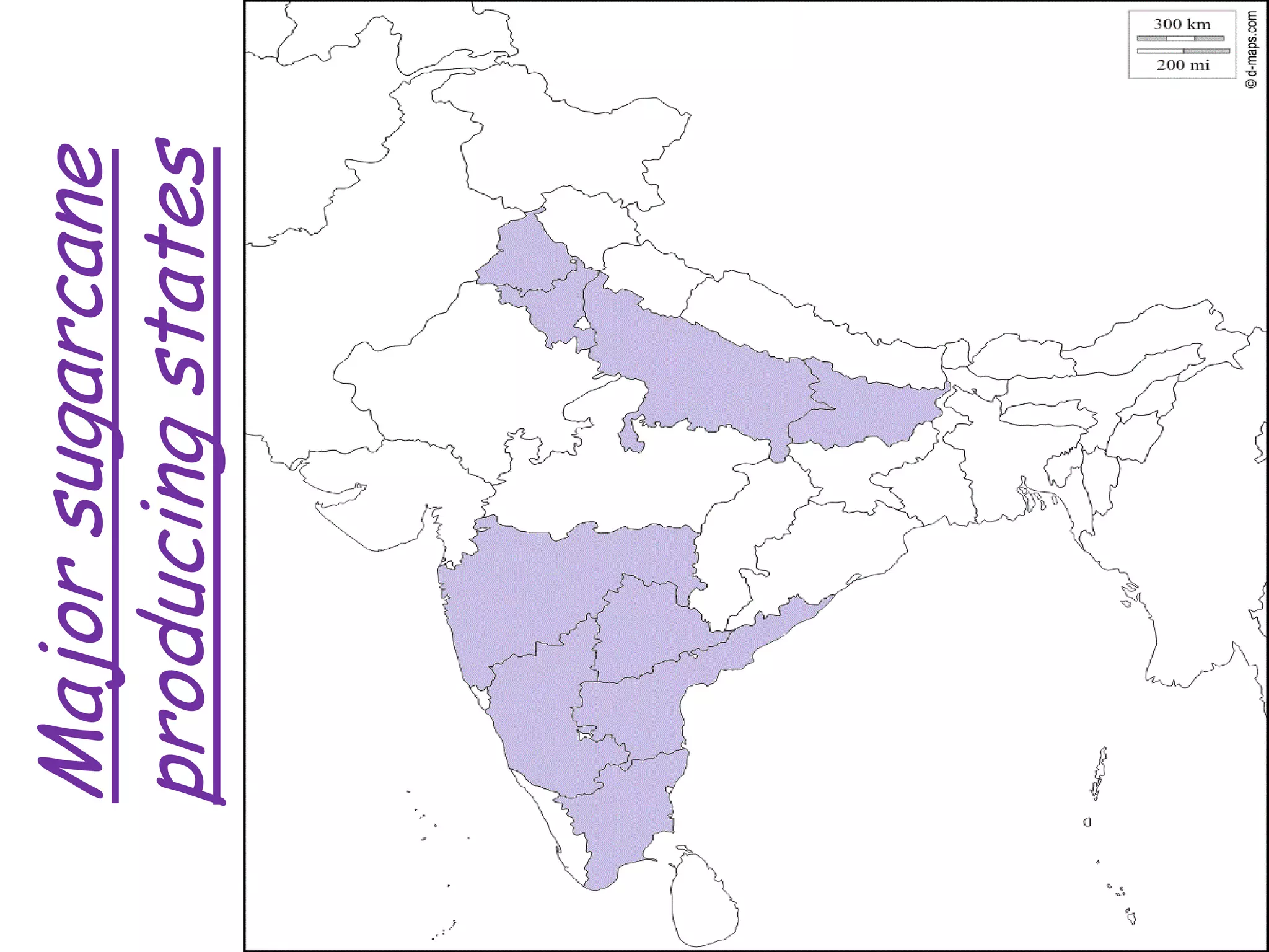 Major
sugarcane
producing
states
 