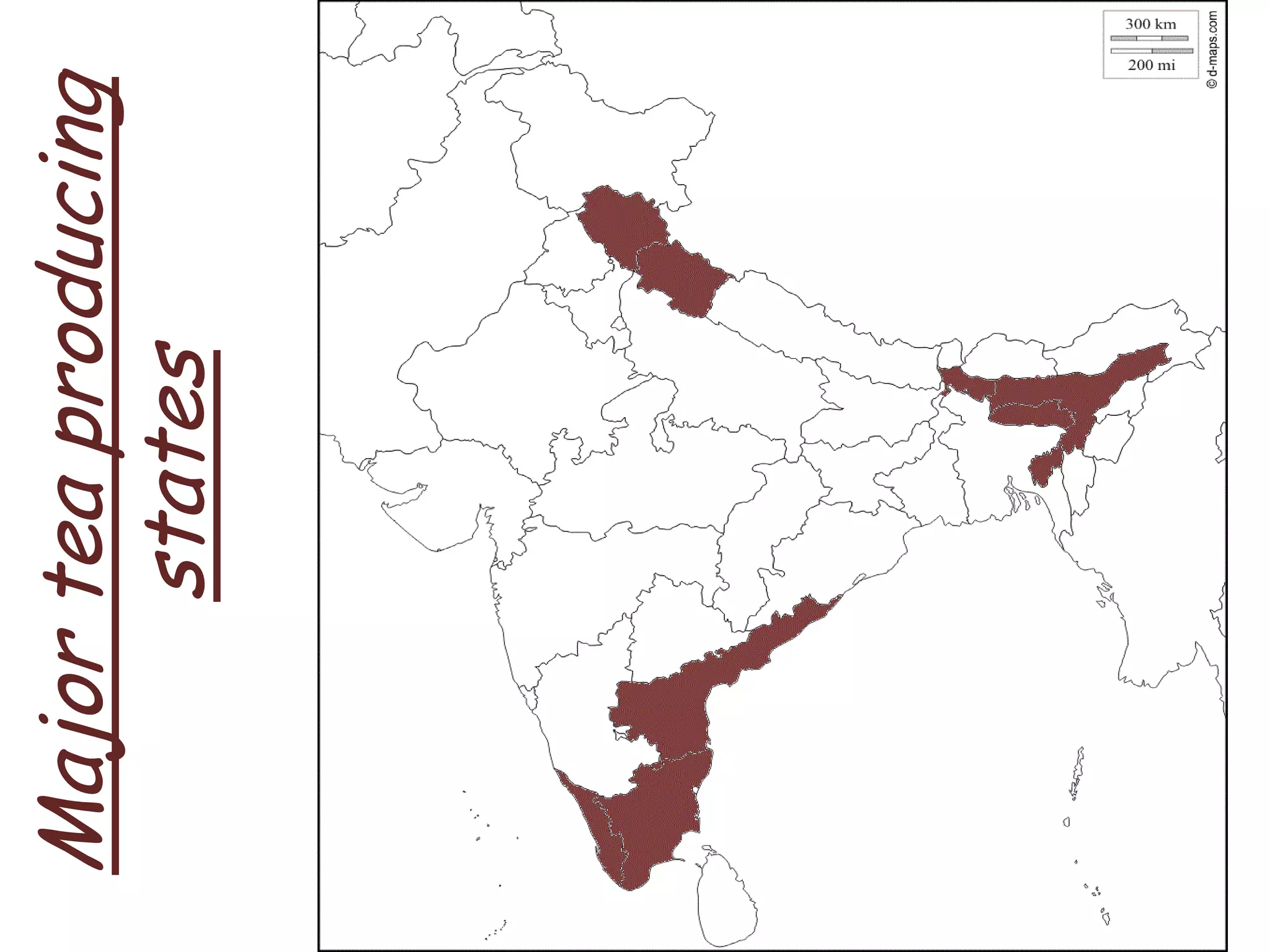Major
tea
producing
states
 