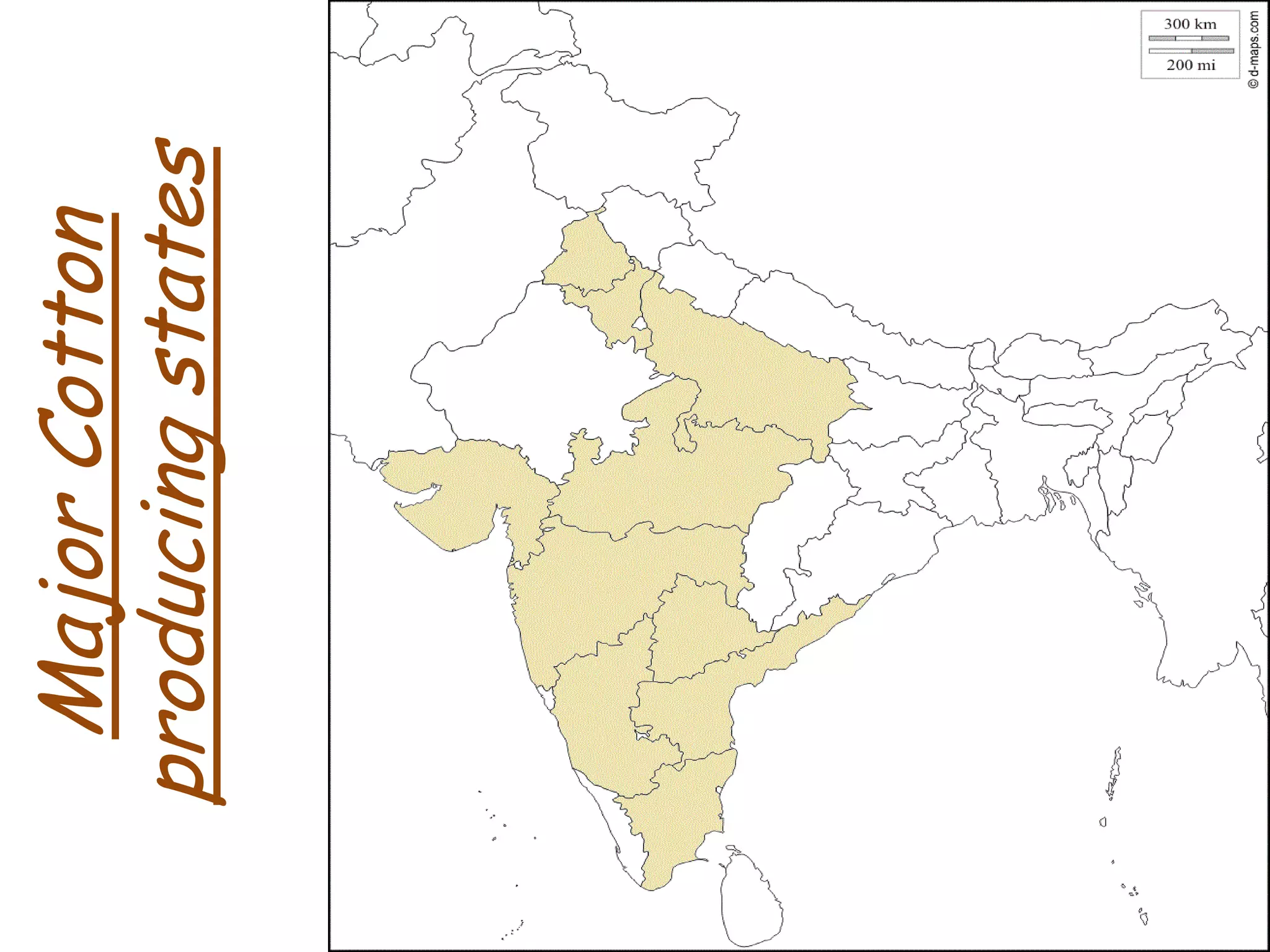 Major
Cotton
producing
states
 