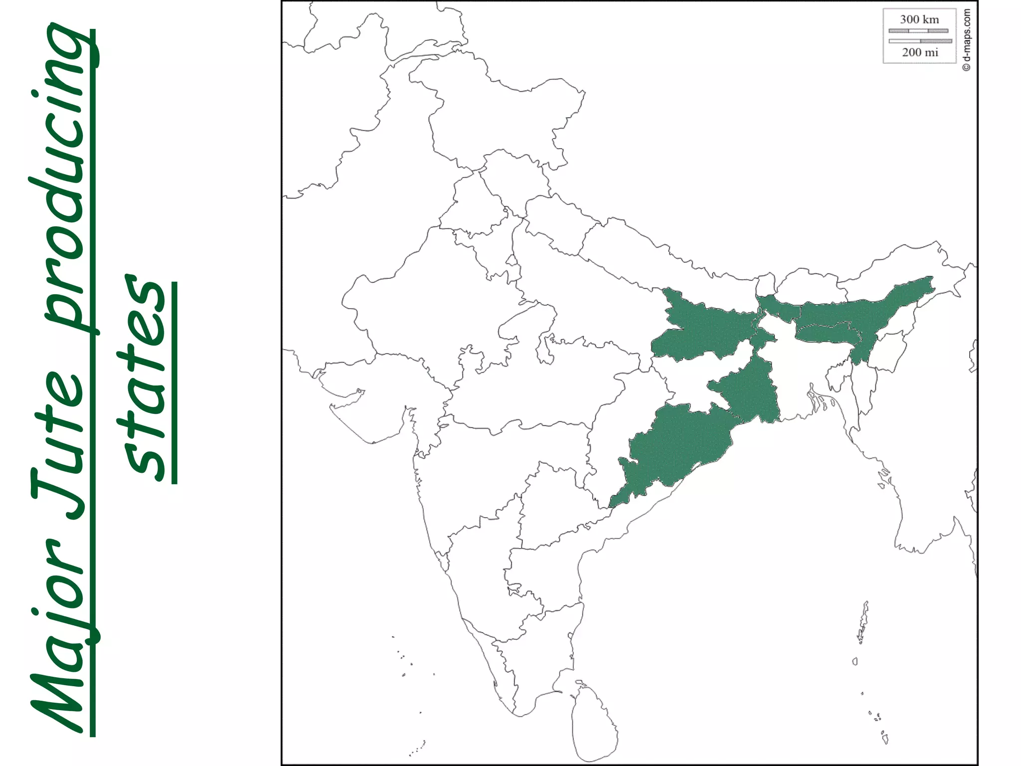 Major
Jute
producing
states
 