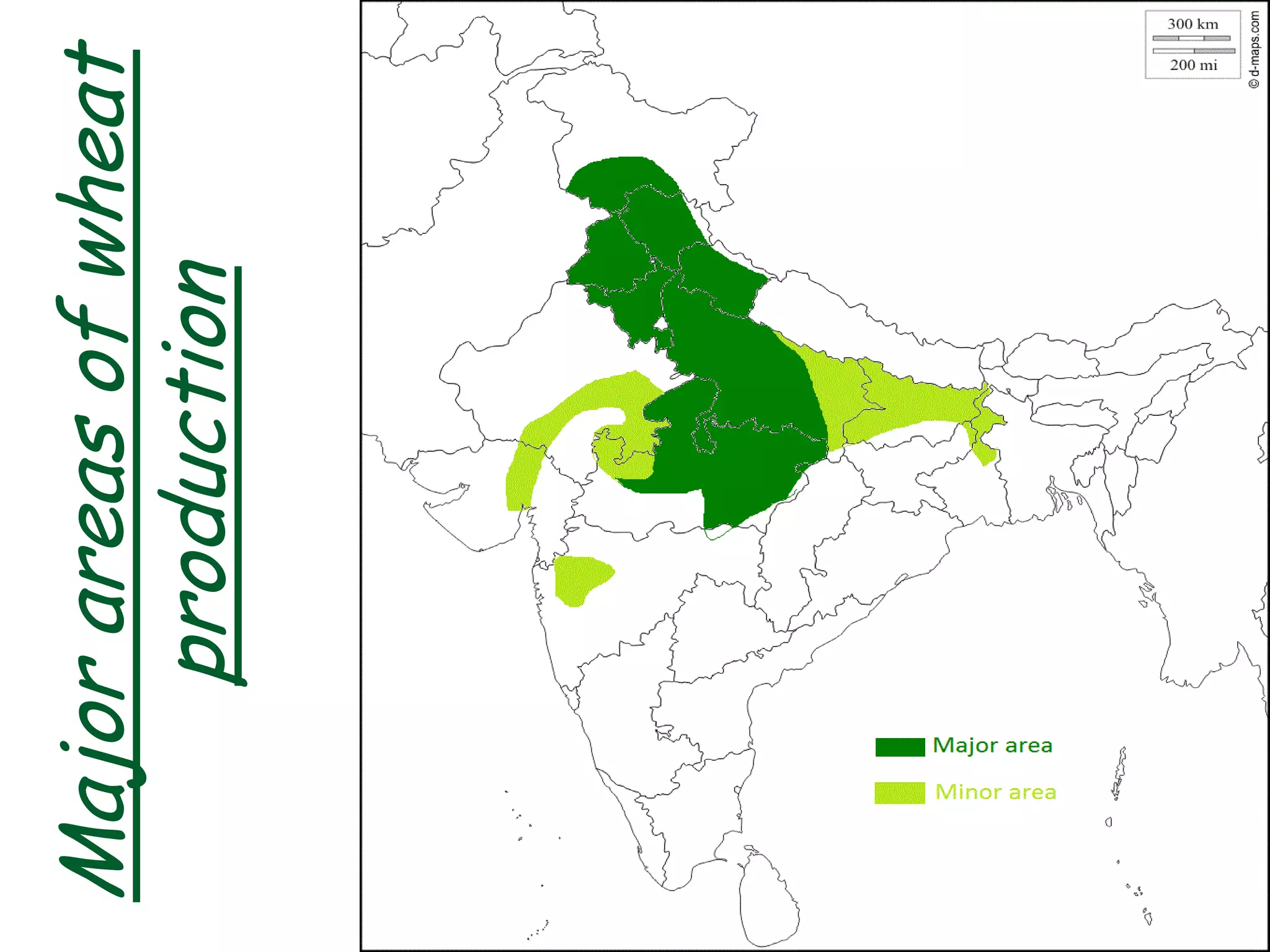 Major
areas
of
wheat
production
 