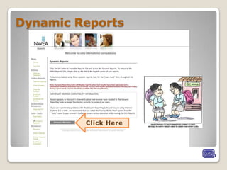 Dynamic Reports
 