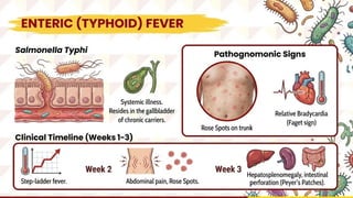 Microbial Enteritis: Pathophysiology & Clinical Management | PPTX