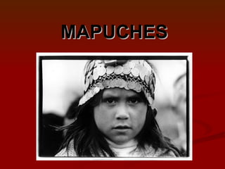 MAPUCHES 