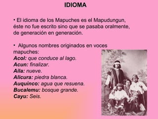 IDIOMA <ul><li>El idioma de los Mapuches es el Mapudungun, éste no fue escrito sino que se pasaba oralmente, de generación...
