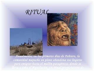 RITUAL
RITUAL
Anualmente, en los primeros días de Febrero, la
comunidad mapuche en pleno abandona sus hogares
para emigrar hacia el mallín patagónico, donde se
lleva a cabo el Nguillatún, un ritual propiciatorio de
 