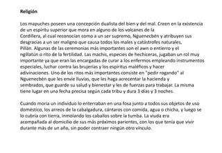 Religión
Los mapuches poseen una concepción dualista del bien y del mal. Creen en la existencia
de un espíritu superior que mora en alguno de los volcanes de la
Cordillera, al cual reconocían como a un ser supremo, Nguenecbén y atribuyen sus
desgracias a un ser maligno que causa todos los males y catástrofes naturales,
Pillán. Algunas de las ceremonias más importantes son el awn o entierro y el
ngillatún o rito de la fertilidad. Las machis, especies de hechiceras, jugaban un rol muy
importante ya que eran las encargadas de curar a los enfermos empleando instrumentos
especiales, luchar contra las brujerías y los espíritus maléficos y hacer
adivinaciones. Uno de los ritos más importantes consiste en "pedir rogando" al
Nguenecbén que les envíe lluvias, que les haga acrecentar la hacienda y
sembrados, que guarde su salud y bienestar y les de fuerzas para trabajar. La misma
tiene lugar en una fecha precisa según cada tribu y dura 3 días y 3 noches.
Cuando moría un individuo lo enterraban en una fosa junto a todos sus objetos de uso
doméstico, los arreos de la cabalgadura, cántaros con comida, agua o chicha, y luego se
lo cubría con tierra, inmolando los caballos sobre la tumba. La viuda era
acompañada al domicilio de sus más próximos parientes, con los que tenía que vivir
durante más de un año, sin poder contraer ningún otro vínculo.
 