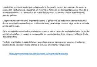 La actividad económica principal es la ganadería de ganado menor. Son pastores de ovejas y
cabras con trashumancia estacional. En invierno se hallan en las tierras más bajas; a fines de la
primavera suben a las tierras altas en busca de los pastos. Asimismo criaban aves de corral,
pavos y gallinas.
La agricultura no tiene tanta importancia como la ganadería. Se trata de una tarea masculina
donde se cultivaban cereales para la alimentación y para forraje como el trigo, centeno, cebada,
avena, entre otros.
De la recolección obtenían frutos silvestres como el mëchi (fruto del molle) el trüntün (fruto del
michai), el calafate, el maqui, la zarzaparrilla, las manzanas silvestres, hongos, y el lleuke (fruto
de una conífera)
También practicaban la caza de liebres y perdices, zorros, gatos overos y pumas. En algunas
localidades se cazaba el choike (ñandú o avestruz americano) y el guanaco.
https://www.monografias.com/trabajos16/mapuches/mapuches
 