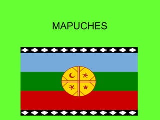 MAPUCHES
 