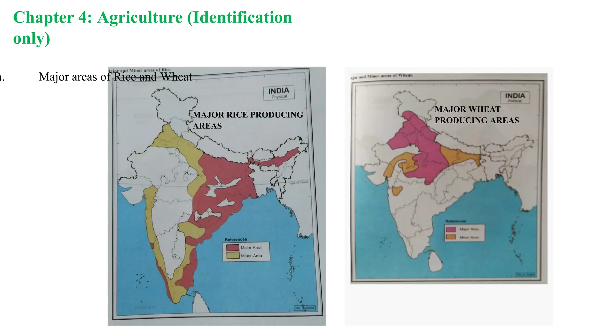Chapter 4: Agriculture (Identification
only)
a. Major areas of Rice and Wheat
MAJOR RICE PRODUCING
AREAS
MAJOR WHEAT
PRODUCING AREAS
 