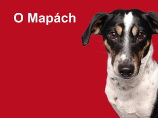 O Mapách

 