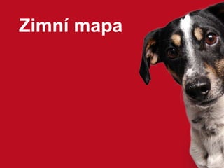 Zimní mapa

 