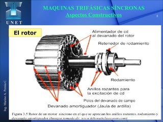 U N E T
Ing.MarinoA.PerníaC.
8
MAQUINAS TRIFÁSICAS SÍNCRONAS
Aspectos Constructivos
El rotor
8
 