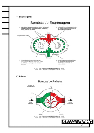 62
 Engrenagens:
Fonte: SCHNEIDER MOTOBOMBAS, 2006.
 Paletas:
Fonte: SCHNEIDER MOTOBOMBAS, 2006.
 