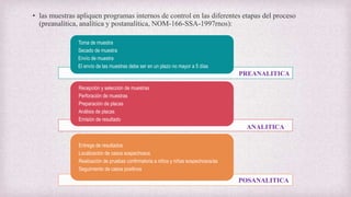 • las muestras apliquen programas internos de control en las diferentes etapas del proceso
(preanalítica, analítica y postanalítica, NOM-166-SSA-1997rnos):
Toma de muestra
Secado de muestra
Envío de muestra
El envío de las muestras debe ser en un plazo no mayor a 5 días
Recepción y selección de muestras
Perforación de muestras
Preparación de placas
Análisis de placas
Emisión de resultado
Entrega de resultados
Localización de casos sospechosos
Realización de pruebas confirmatoria a niños y niñas sospechosos/as
Seguimiento de casos positivos
PREANALITICA
ANALITICA
POSANALITICA
 
