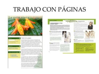 TRABAJO CON PÁGINAS