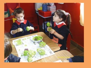 Maqueta de nuestra manzana