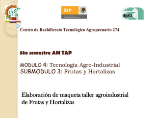 Centro de Bachillerato Tecnológico Agropecuario 274




5to semestre AM TAP

MODULO 4: Tecnología Agro-Industrial
SUBMODULO 3: Frutas y Hortalizas



Elaboración de maqueta taller agroindustrial
de Frutas y Hortalizas
 