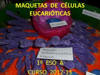 MAQUETAS DE CÉLULAS
   EUCARIÓTICAS




     1º ESO A
   CURSO 2012-13
 