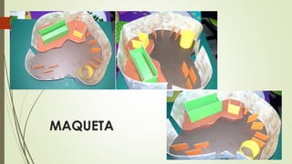 MAQUETA
 