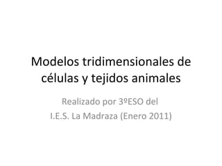 Modelos tridimensionales de células y tejidos animales Realizado por 3ºESO del  I.E.S. La Madraza (Enero 2011) 