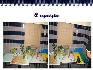 A exposição: 
