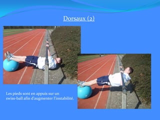 Dorsaux (2)Les pieds sont en appuis sur un swiss-ball afin d’augmenter l’instabilité.