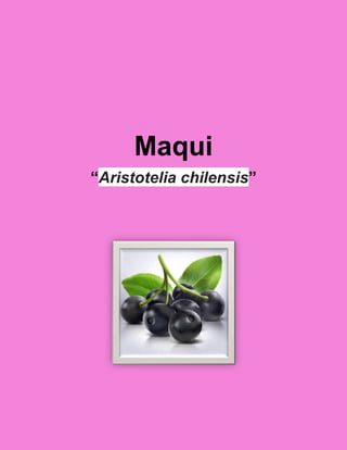 Maqui
“Aristotelia chilensis”
 