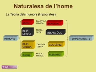 Naturalesa de l’home
La Teoria dels humors (Hipòcrates)
                    CALENTA I
           SANG     HUMIDA      SANGUINI

                    FREDA I
           BILIS    SECA        MELANCÒLIC
           NEGRA
HUMORS                                       TEMPERAMENTS

           BILIS     CALENTA     COL·LÈRIC
           GROGA     I SECA


                    FREDA I
           FLEMA    HUMIDA
                                 FLEMATIC
 