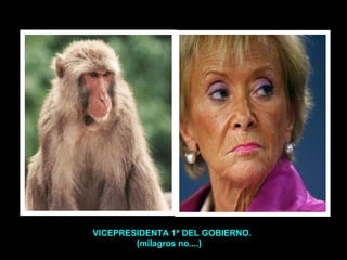 V VICEPRESIDENTA 1ª DEL GOBIERNO. (milagros no....) 