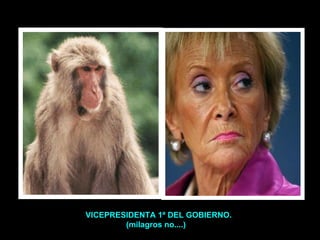 V VICEPRESIDENTA 1ª DEL GOBIERNO. (milagros no....) 