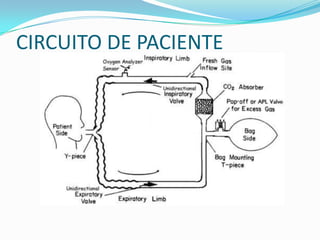 CIRCUITO DE PACIENTE
 