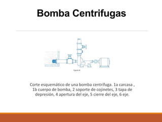 Bomba Centrifugas
Corte esquemático de una bomba centrífuga. 1a carcasa ,
1b cuerpo de bomba, 2 soporte de cojinetes, 3 tapa de
depresión, 4 apertura del eje, 5 cierre del eje, 6 eje.
 