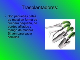 Trasplantadores: Son pequeñas palas de metal en forma de cuchara pequeña, de bordes afilados y mango de madera. Sirven para sacar semillas. 