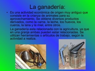 La ganadería: Es una actividad económica de origen muy antiguo que consiste en la crianza de animales para su aprovechamiento. Se obtiene diversos productos derivados, como la carne, la leche, los huevos, los cueros, la lana y la miel, entre otros. La ganadería esta relacionada con la agricultura, ya que en una granja ambas pueden estar relacionadas. Se utilizan herramientas o artículos de trabajo, según la actividad a realiza. 