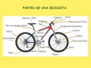 PARTES DE UNA BICICLETA 
