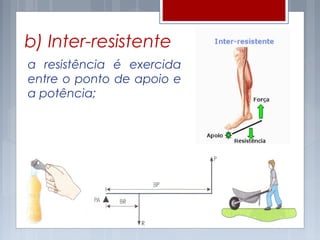 b) Inter-resistente
a resistência é exercida
entre o ponto de apoio e
a potência;
 
