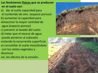 Los fenómenos físicos que se producen
en el suelo son:
a) dar al suelo capacidad para
el contenido de aire. (espacio poroso)
b) aumentar la capacidad para
almacenar la mayor cantidad de
agua.(espacio poroso)
c) prevenir el lavado del suelo.
d) tratar que el exceso de agua
pueda penetrar al subsuelo
evitando la escorrentía superficial.
e) consolidar el suelo mezclándolo
con los restos vegetales y
disminuir
así, los efectos de la erosión.
 