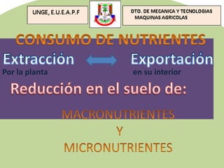 Por la planta en su interior
 