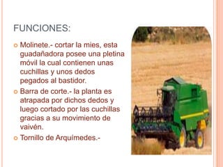 MAQUINA COSECHADORA DE CEBADALa ciega del cereal se realiza en la plataforma de corte la cual contiene: un molinete, una barra de corte y un tornillo de Arquímedes. 