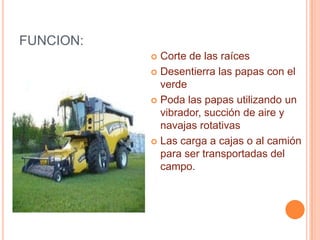 MAQUINA COSECHADORA DE PAPAcosechadora construida para cultivar plantas de 90 cm. de distancia entre hileras. Esta predispuesta para regular la profundidad adicionando sobre el tres puntos de tractor, posee descarga central posterior y deja el producto en una hilera sobre el terreno. Apta para recolectar cebolla, papas, ajo, bulbos de flores, plantas de franbuesa, remolacha, acelga, nabo, etc