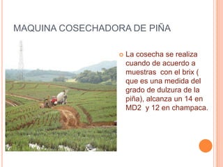 FUNCIONES:Siega y alimentación en la plataforma de corteTrillaSeparación del grano de la paja en los sacudidoresLimpia del grano en las cribasAlmacenaje y descarga del grano